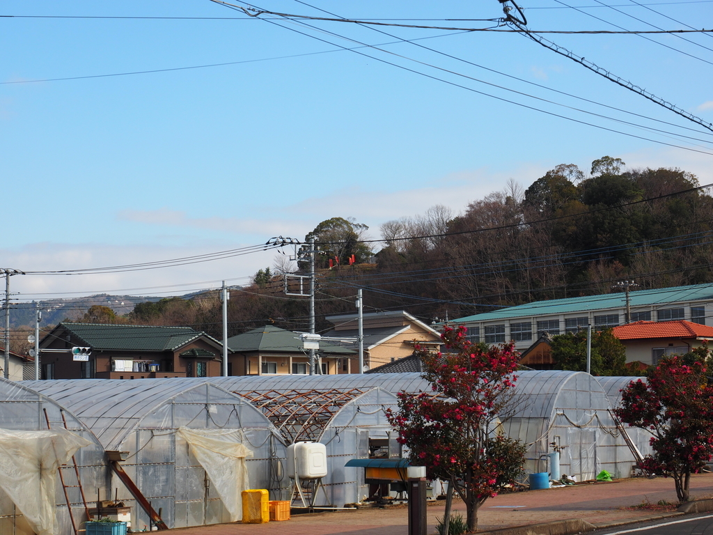 f:id:turumigawa915:20190120223312j:plain