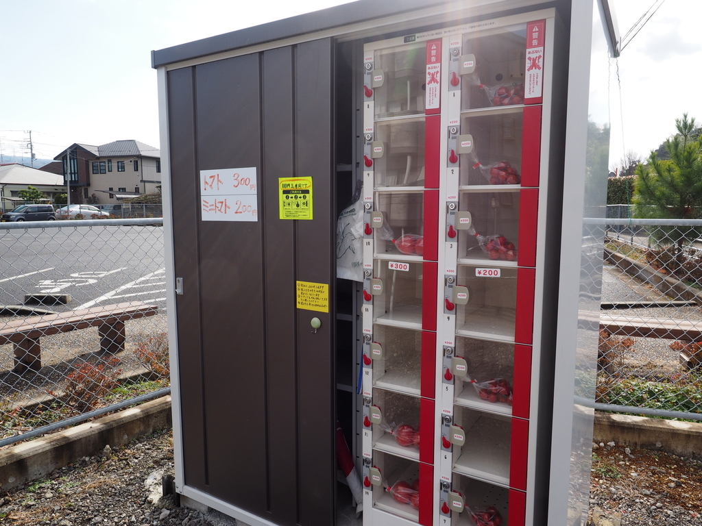 f:id:turumigawa915:20190120234506j:plain