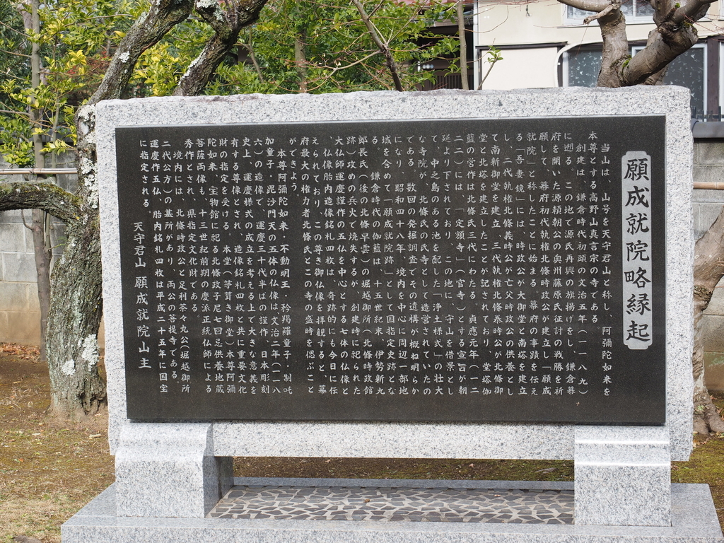 f:id:turumigawa915:20190120235359j:plain