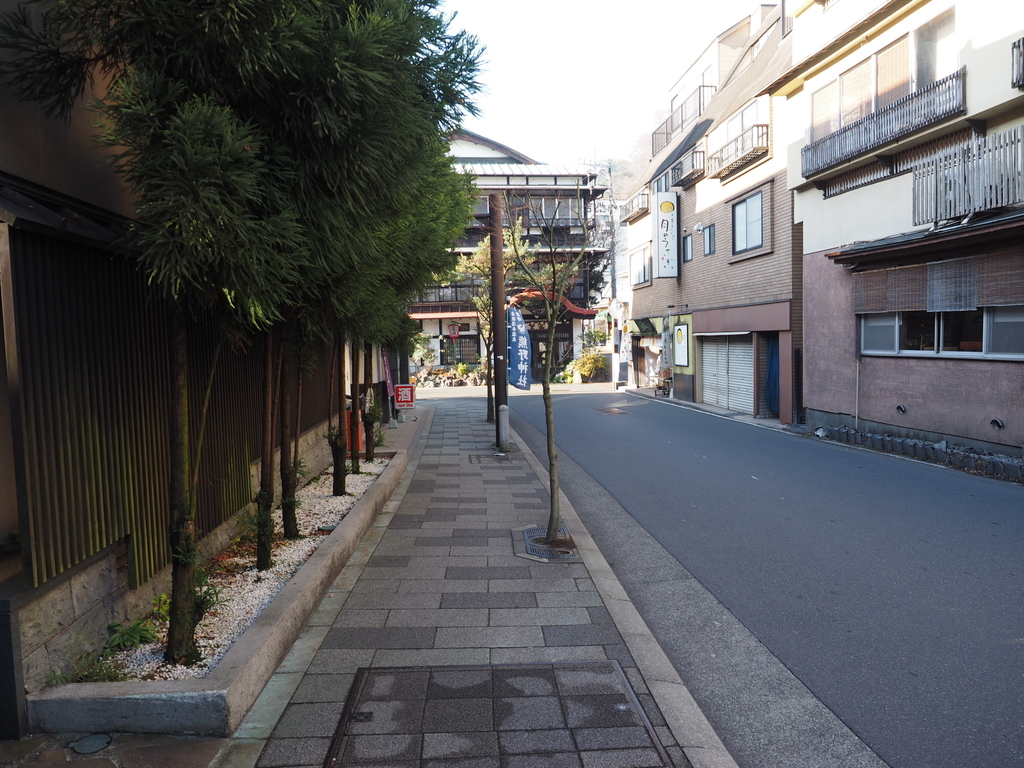 f:id:turumigawa915:20190127091423j:plain