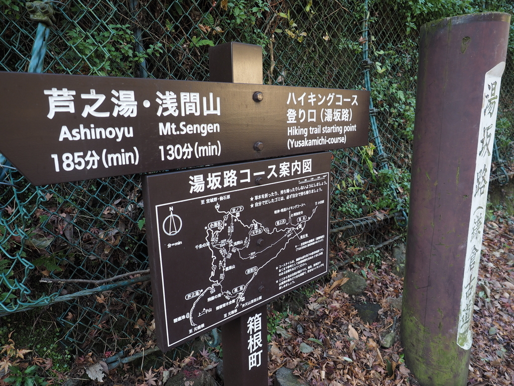 f:id:turumigawa915:20190127092412j:plain