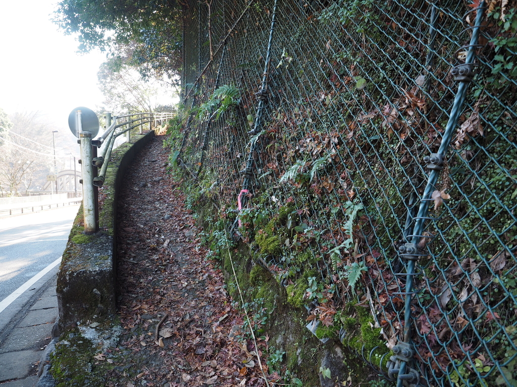 f:id:turumigawa915:20190127092448j:plain