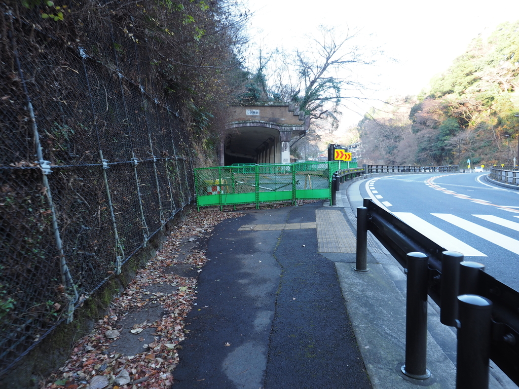 f:id:turumigawa915:20190127101146j:plain