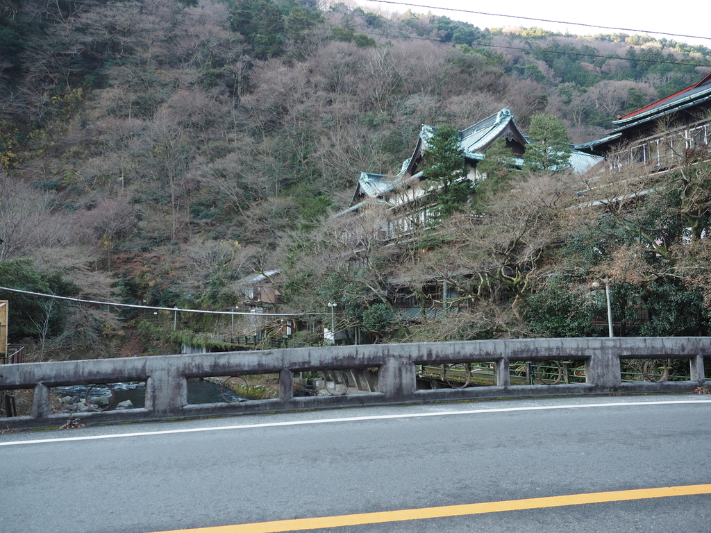 f:id:turumigawa915:20190127130557j:plain