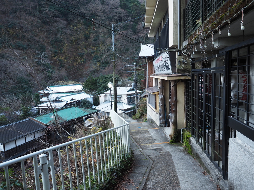 f:id:turumigawa915:20190127131012j:plain