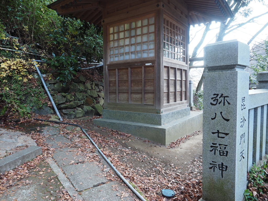 f:id:turumigawa915:20190127131110j:plain