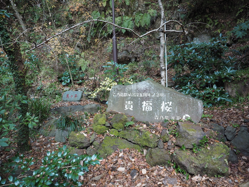 f:id:turumigawa915:20190127131231j:plain