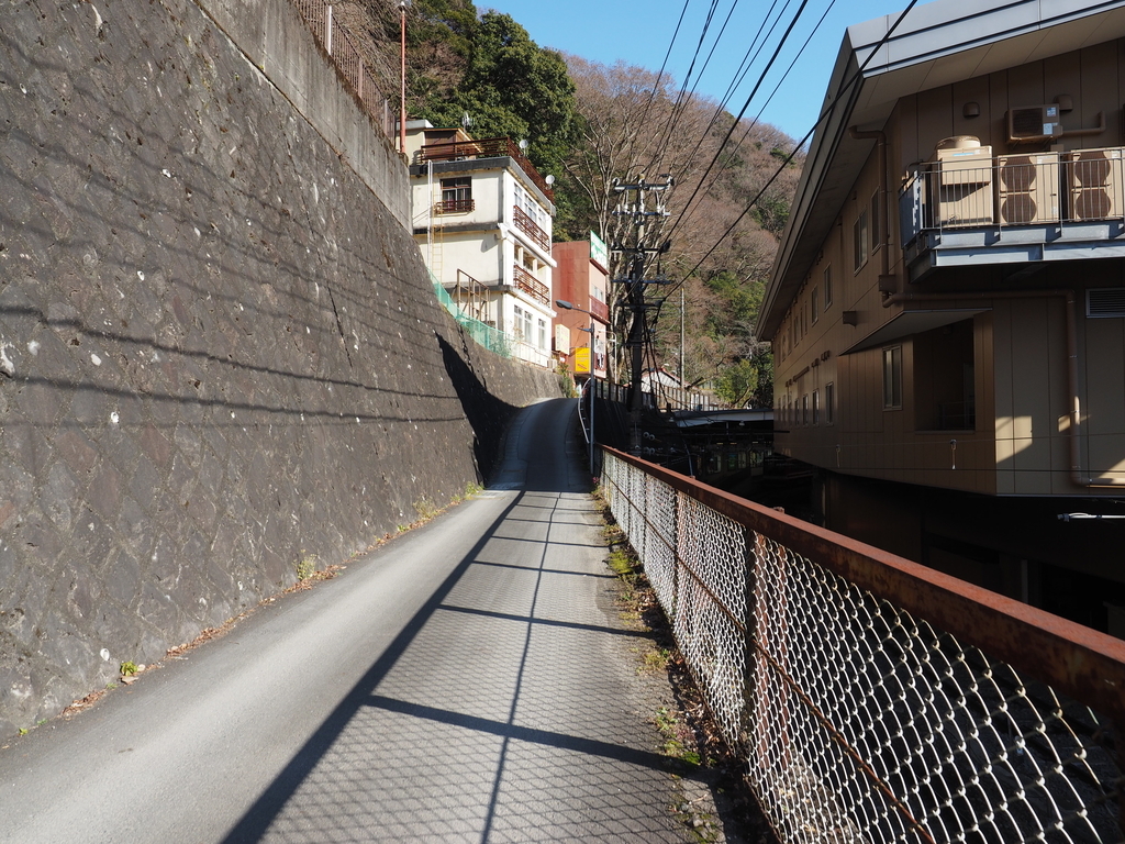 f:id:turumigawa915:20190127144557j:plain