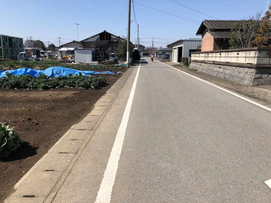 f:id:turumigawa915:20190310150947j:plain