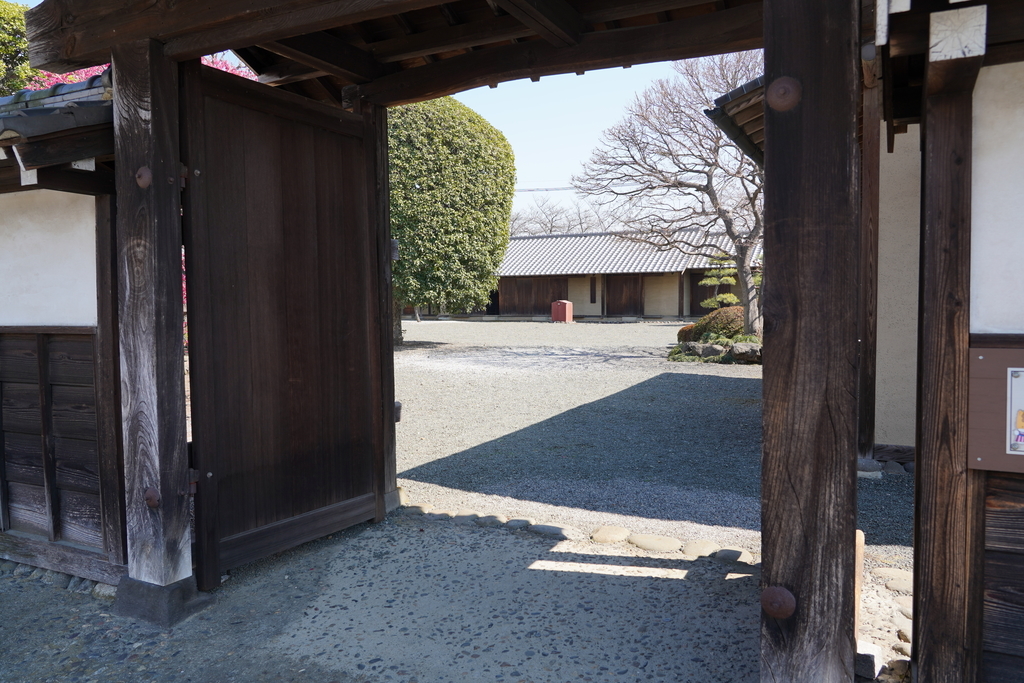 f:id:turumigawa915:20190310192448j:plain