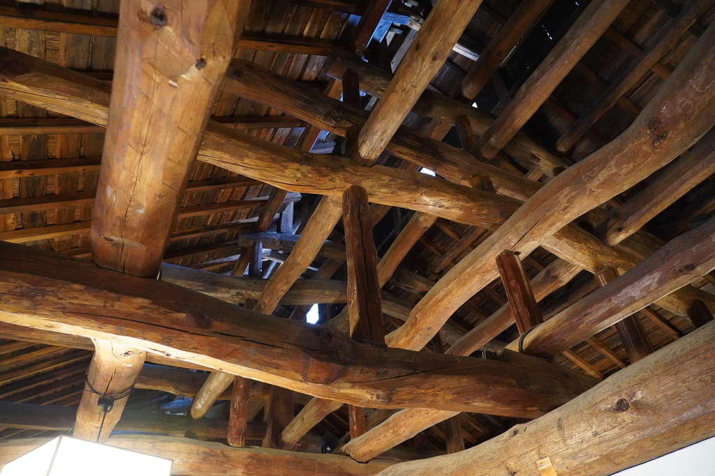 f:id:turumigawa915:20190310200850j:plain