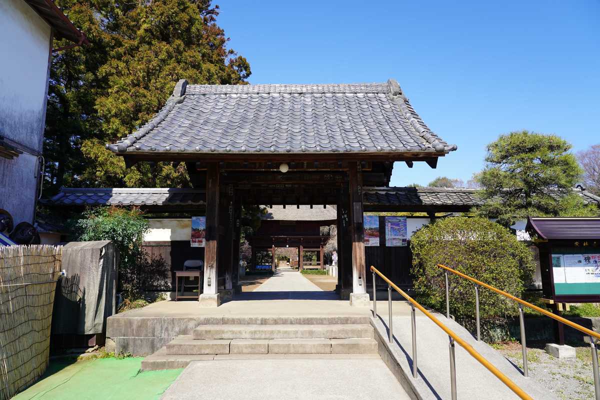 f:id:turumigawa915:20190421123112j:plain