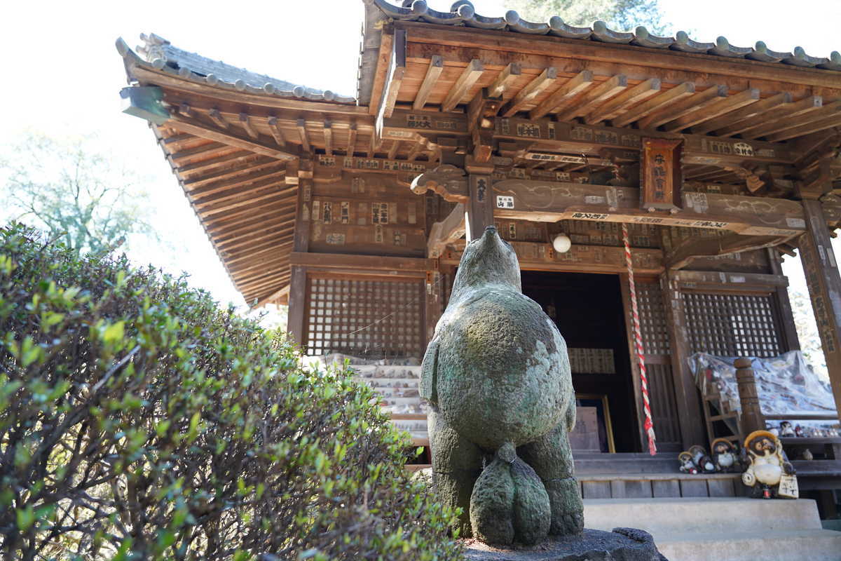 f:id:turumigawa915:20190421124229j:plain