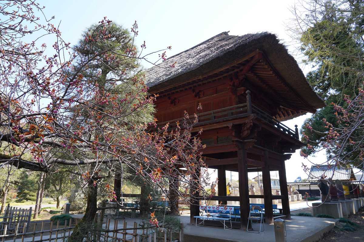 f:id:turumigawa915:20190421124958j:plain