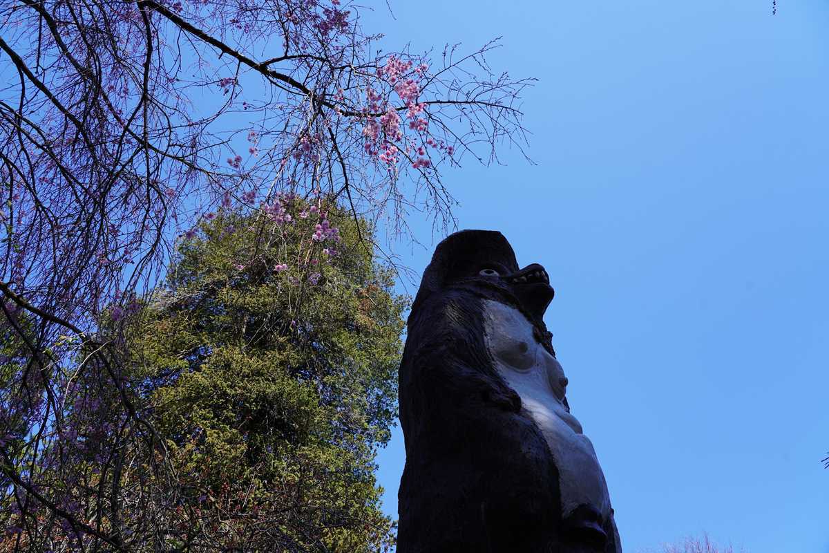 f:id:turumigawa915:20190421125032j:plain