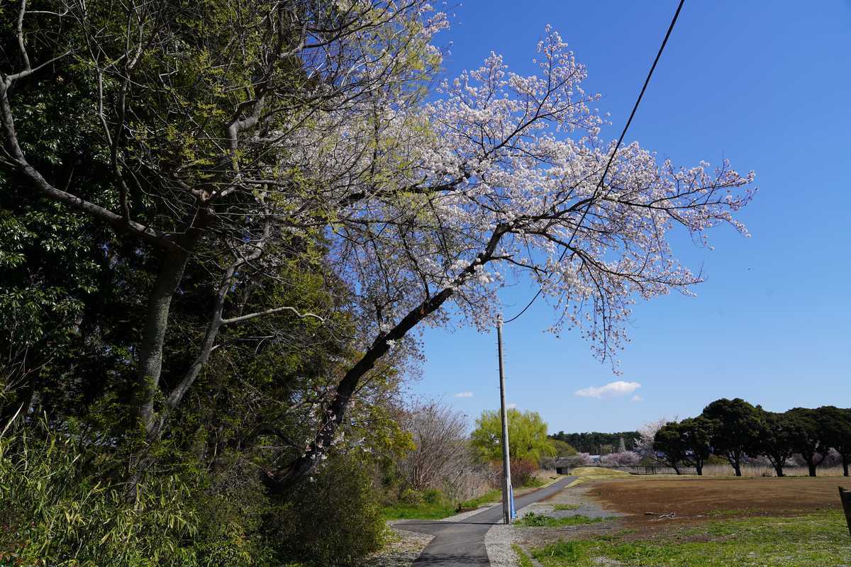 f:id:turumigawa915:20190421125915j:plain