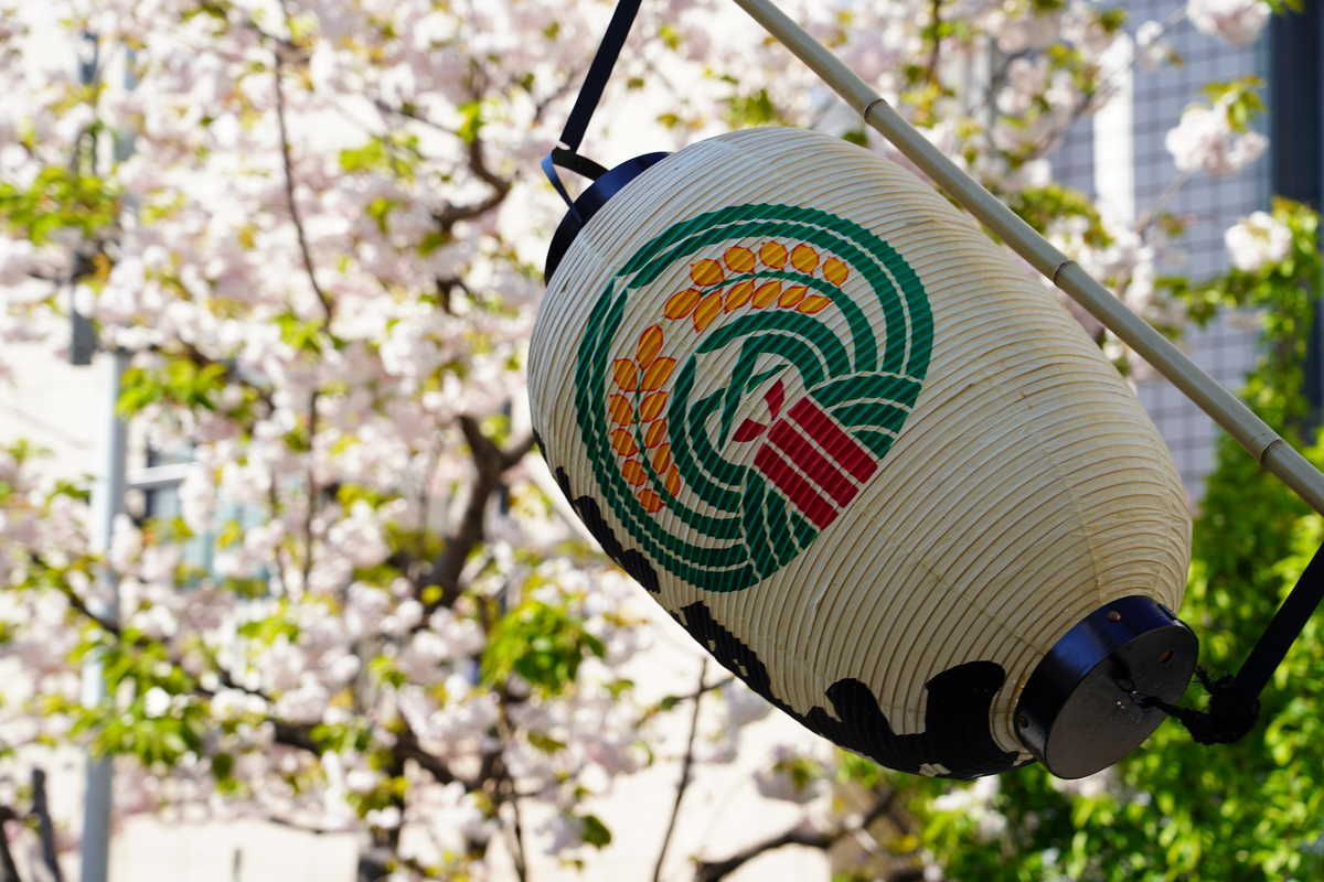 f:id:turumigawa915:20190423220704j:plain