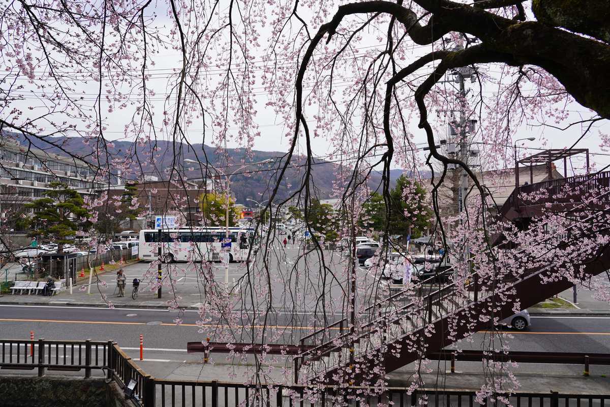 f:id:turumigawa915:20190427105459j:plain