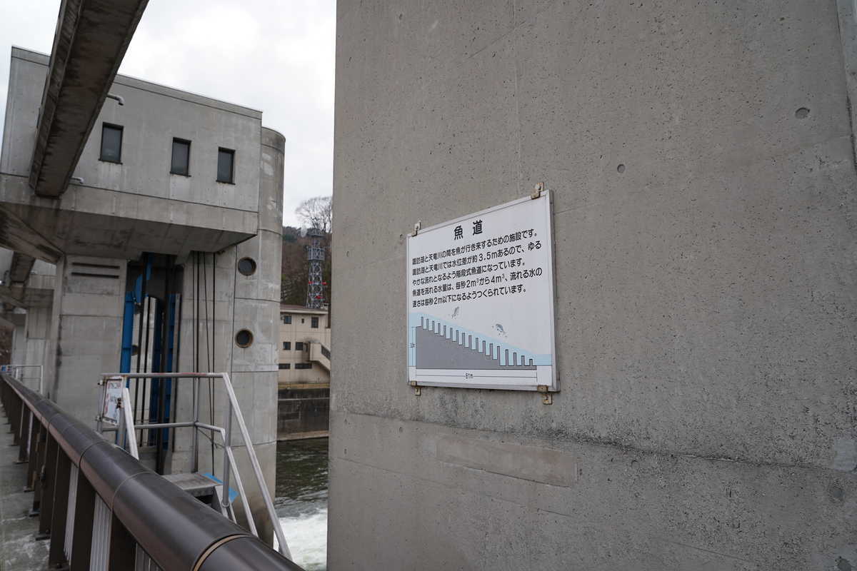 f:id:turumigawa915:20190430161636j:plain