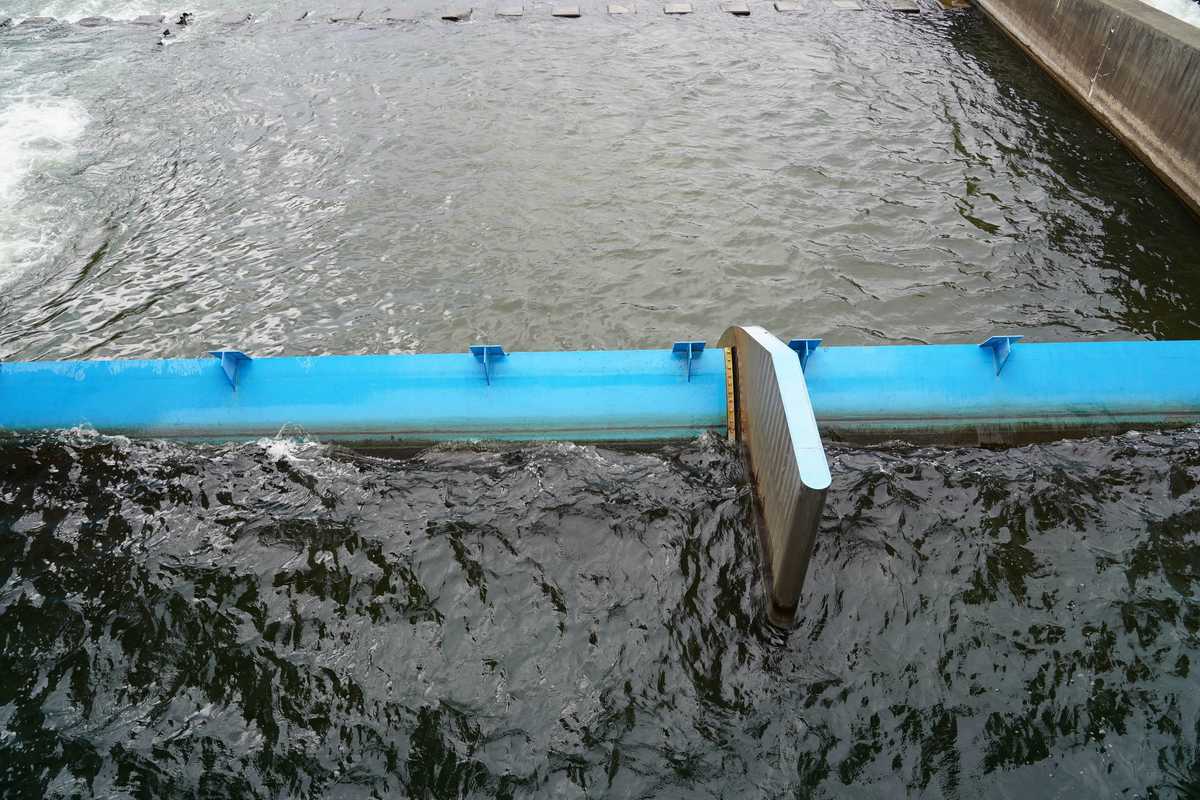 f:id:turumigawa915:20190430162009j:plain