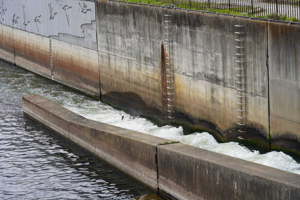 f:id:turumigawa915:20190430162049j:plain