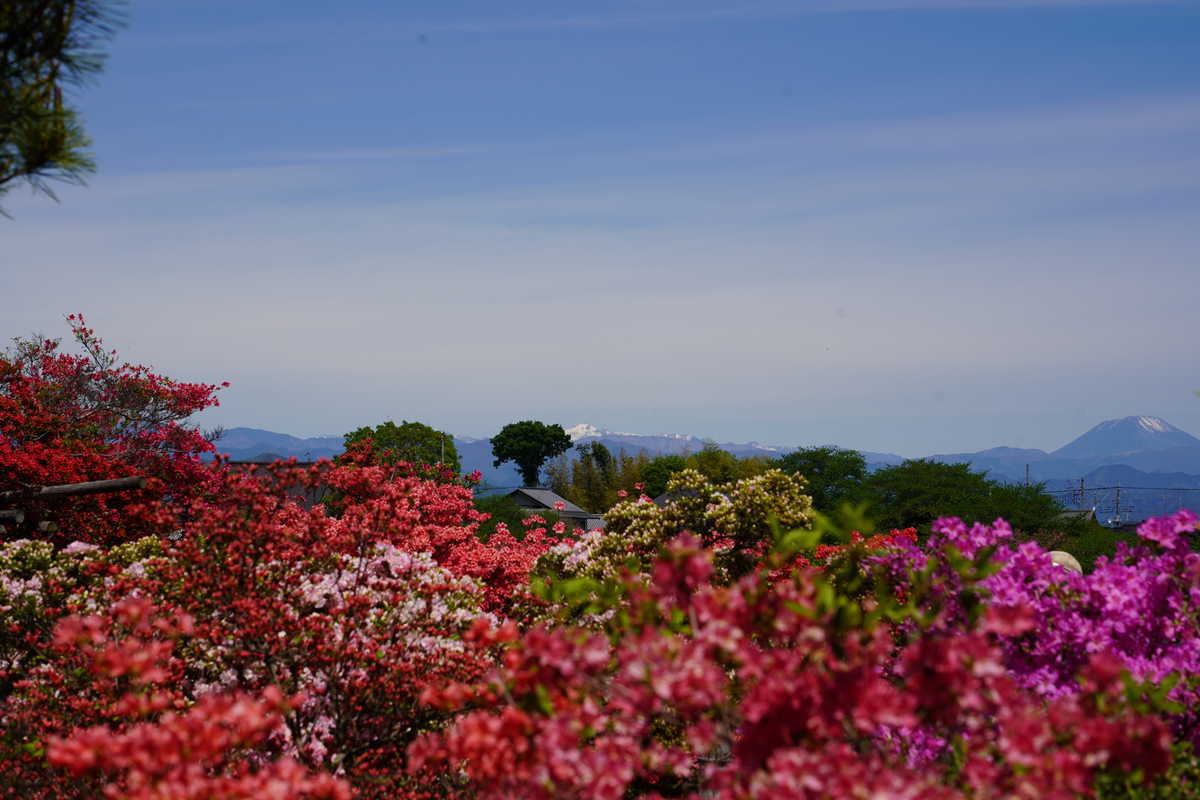 f:id:turumigawa915:20190501123830j:plain