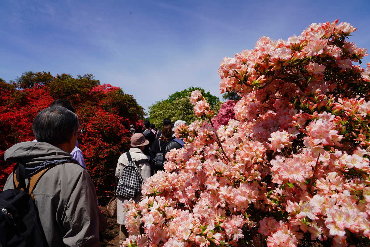 f:id:turumigawa915:20190501130320j:plain