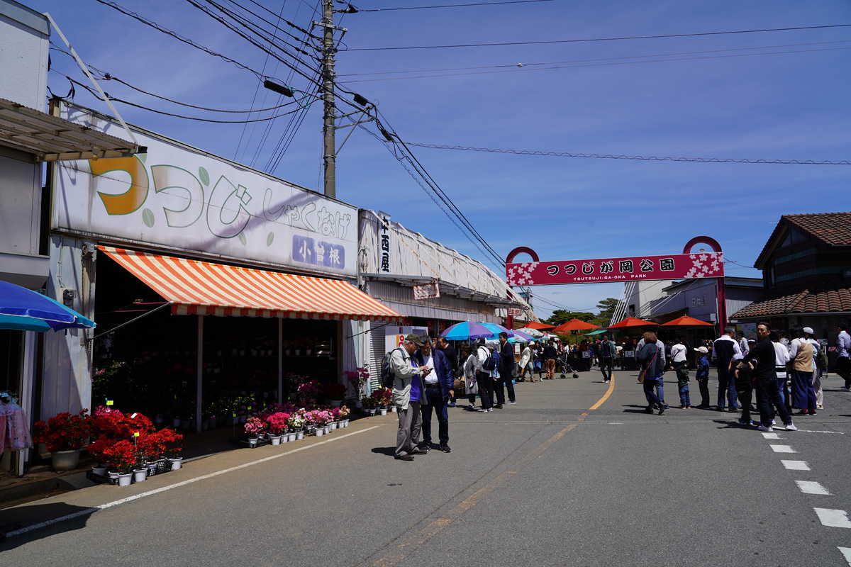 f:id:turumigawa915:20190501134721j:plain