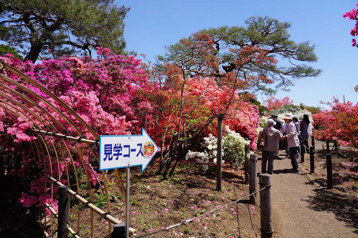 f:id:turumigawa915:20190501135543j:plain