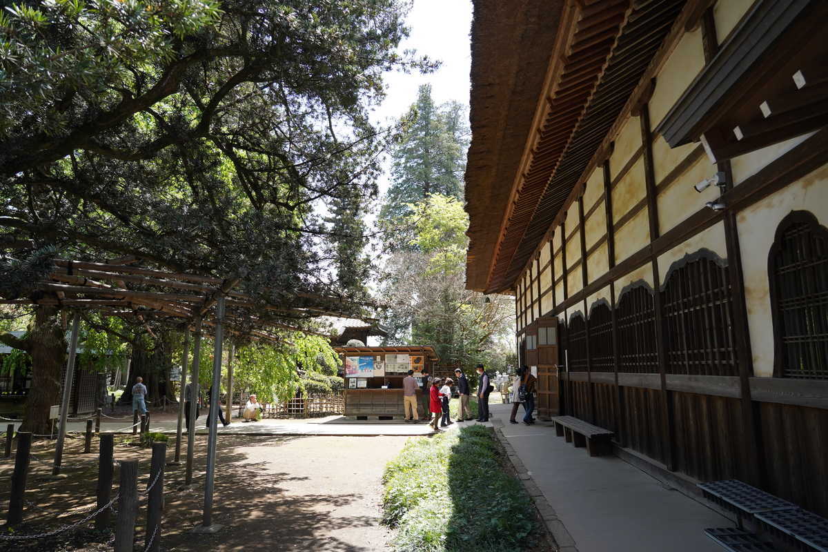 f:id:turumigawa915:20190501150835j:plain