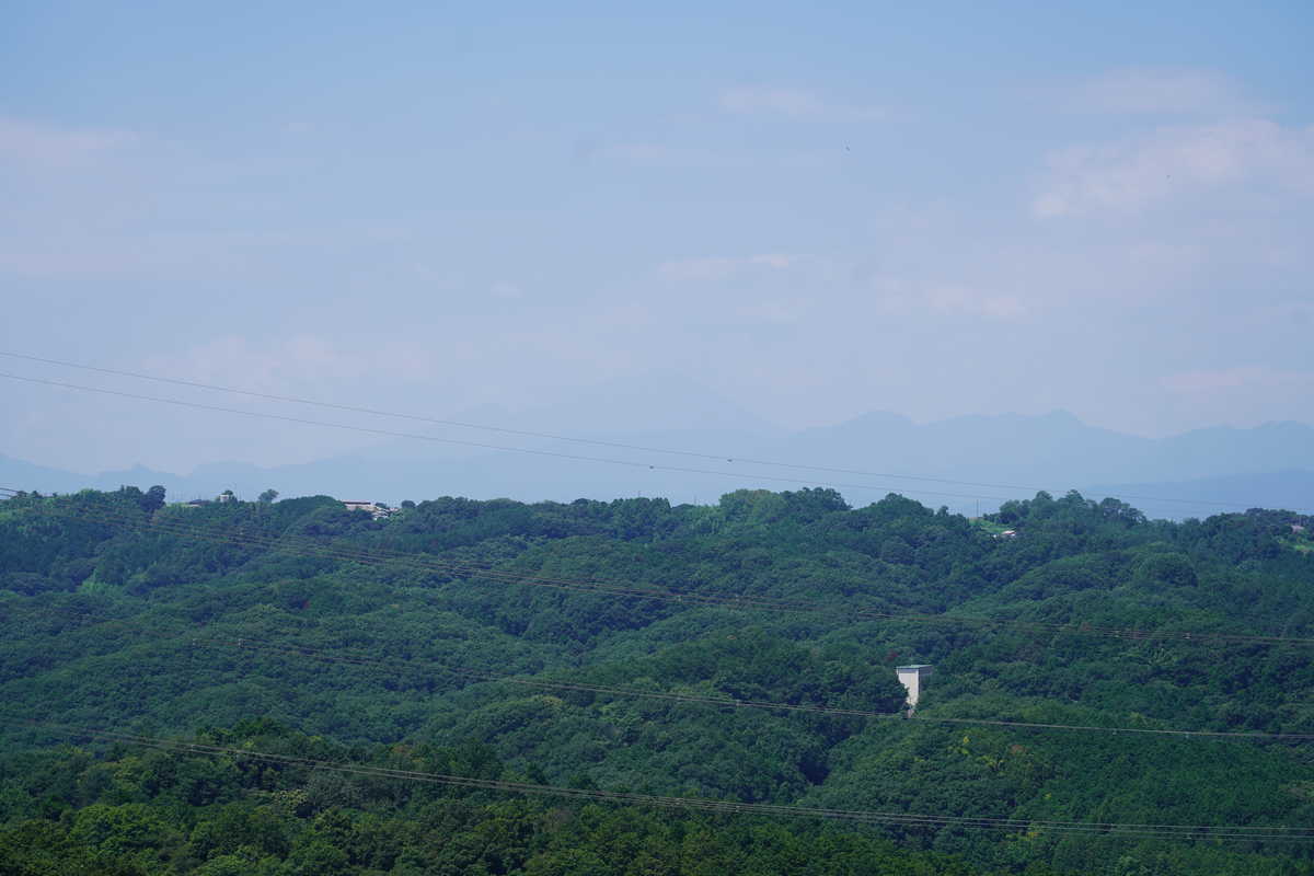 f:id:turumigawa915:20190821221236j:plain