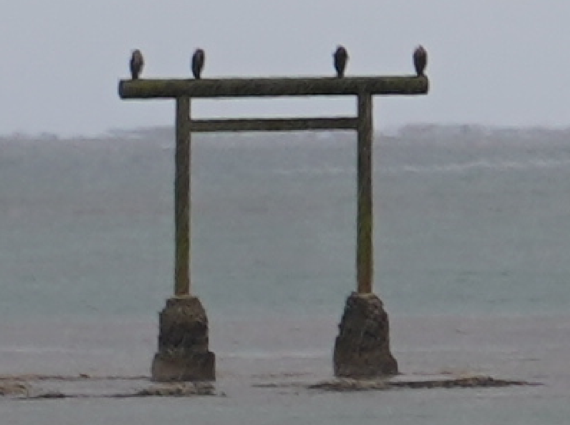 f:id:turumigawa915:20191207210227p:plain