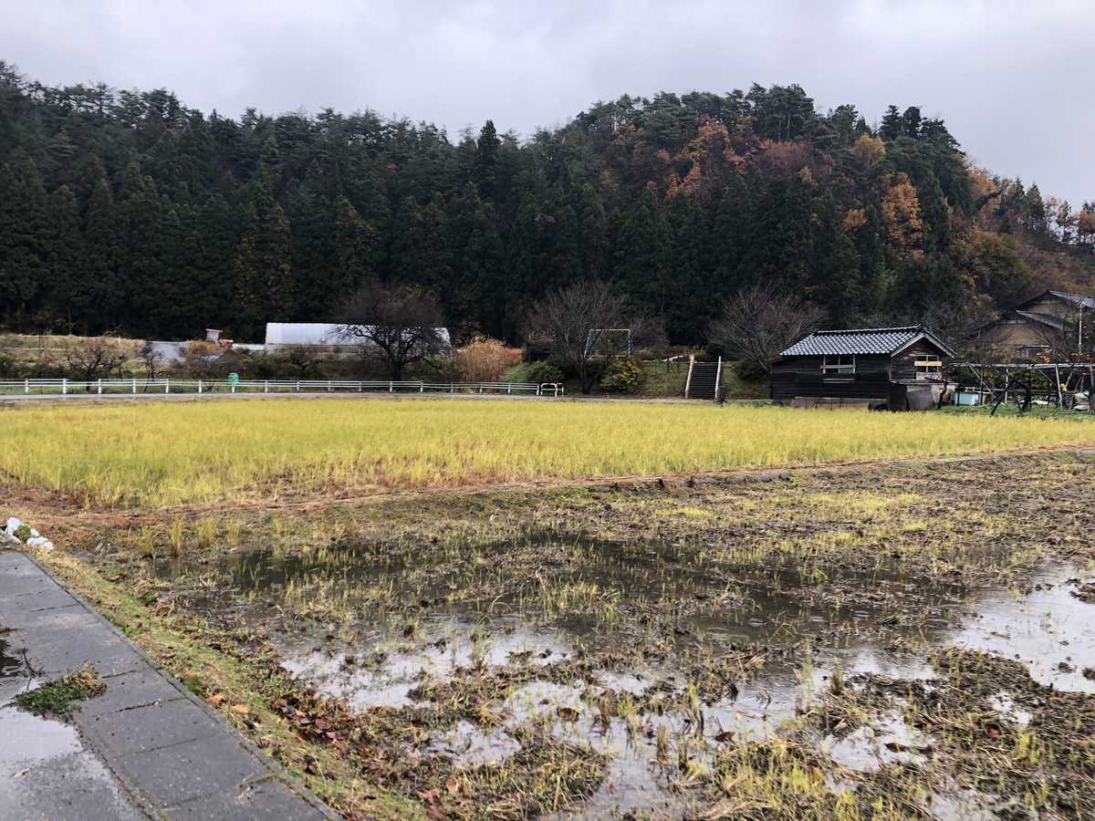 f:id:turumigawa915:20191208211408j:plain