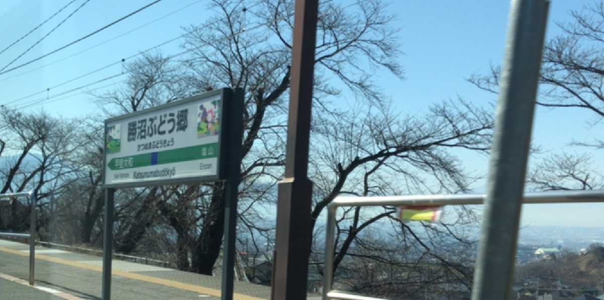 f:id:turumigawa915:20200216211745j:plain