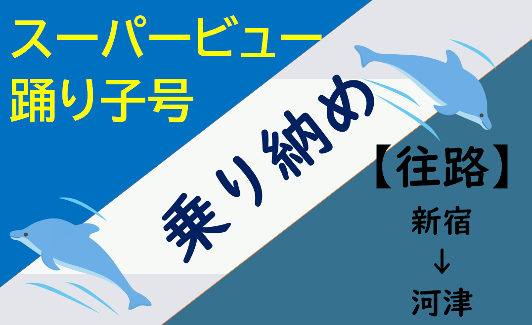 Pt スーパービュー踊り子号の乗り納めの旅 往路 年02月5日 kitの気ままな旅日記 Pt スーパービュー踊り子号の乗り納めの旅 往路 年02月5日 kitの気ままな旅日記