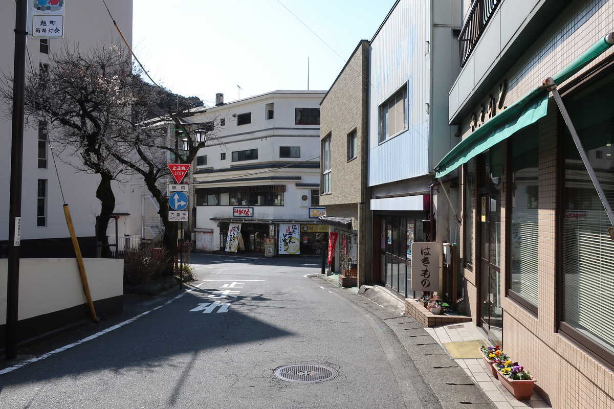 f:id:turumigawa915:20200301095057j:plain