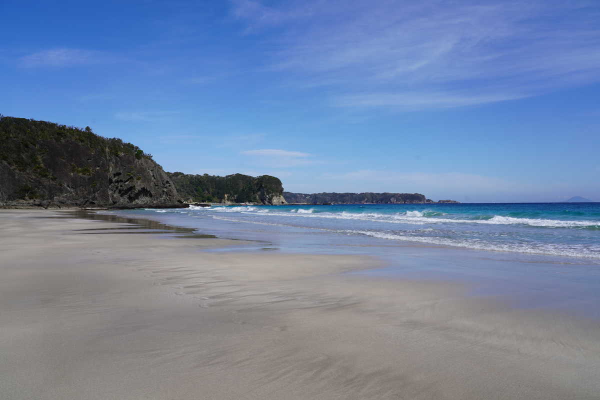 f:id:turumigawa915:20200319235720j:plain