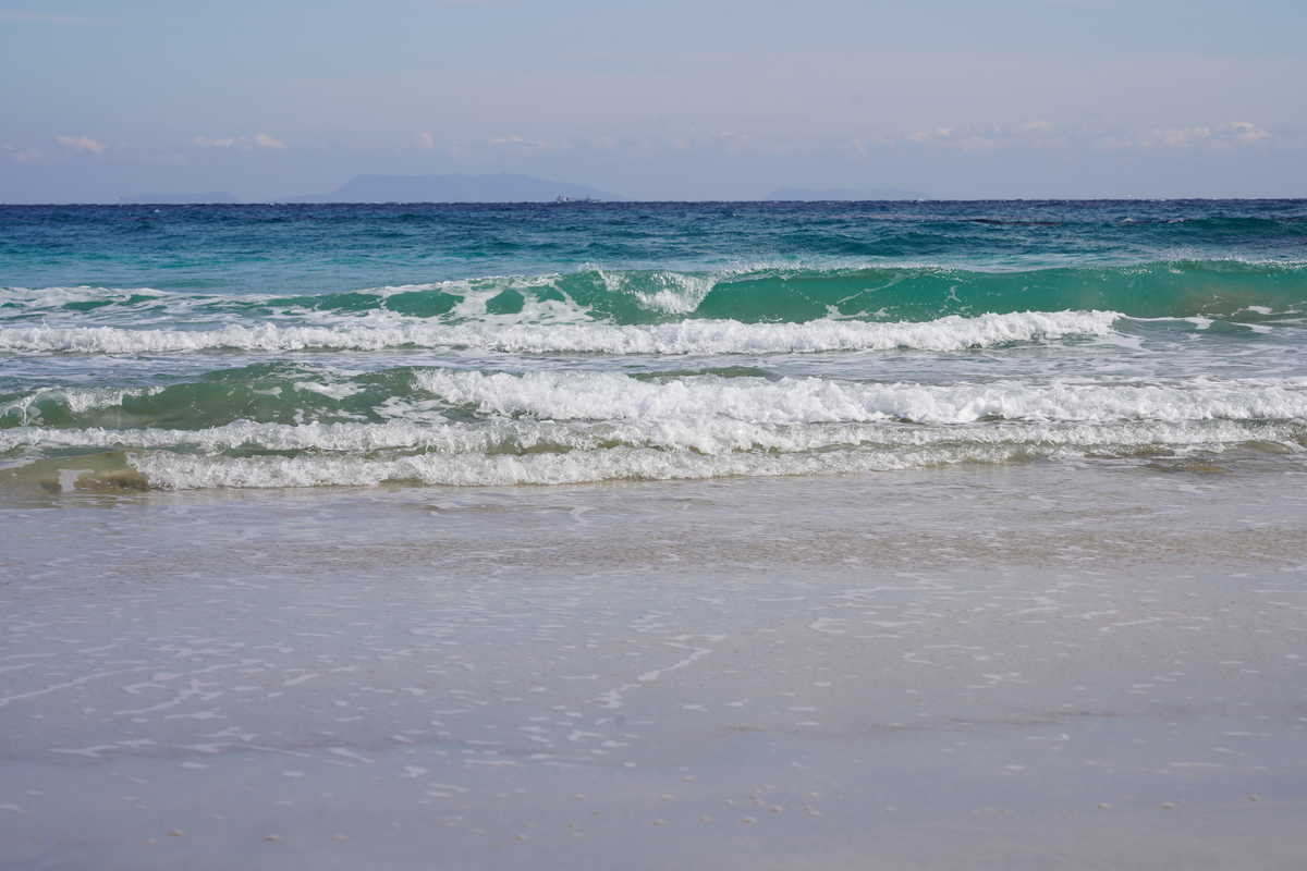 f:id:turumigawa915:20200319235854j:plain