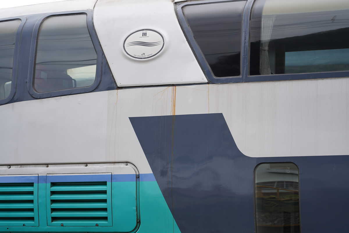 f:id:turumigawa915:20200320063945j:plain