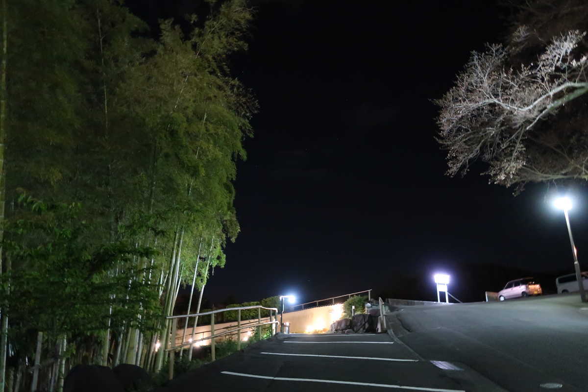 f:id:turumigawa915:20200401190819j:plain