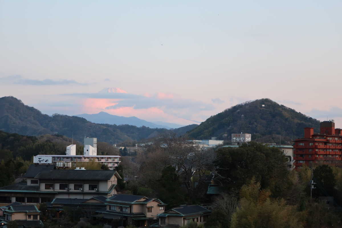 f:id:turumigawa915:20200410224629j:plain