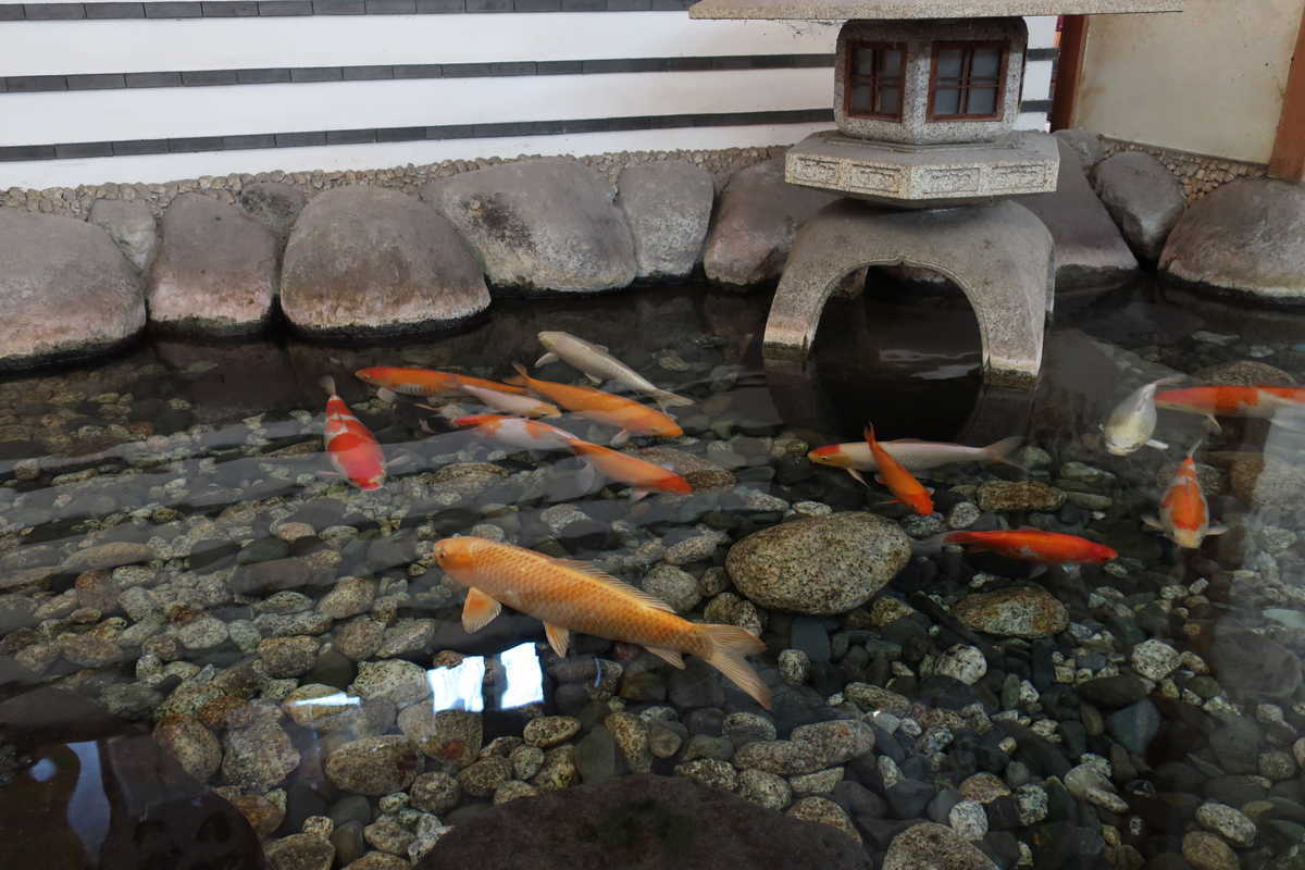 f:id:turumigawa915:20200410225735j:plain