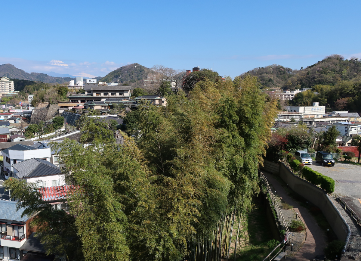 f:id:turumigawa915:20200410232810p:plain