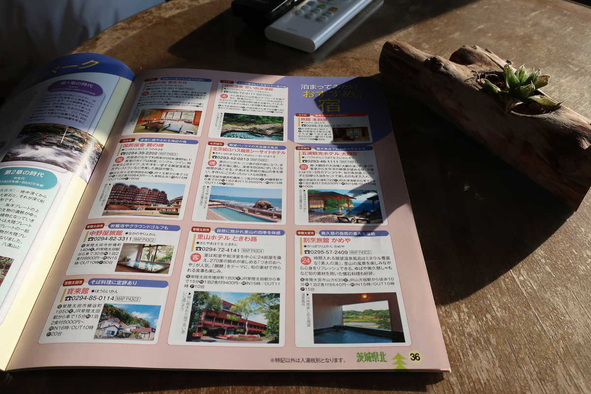 f:id:turumigawa915:20200607140811j:plain