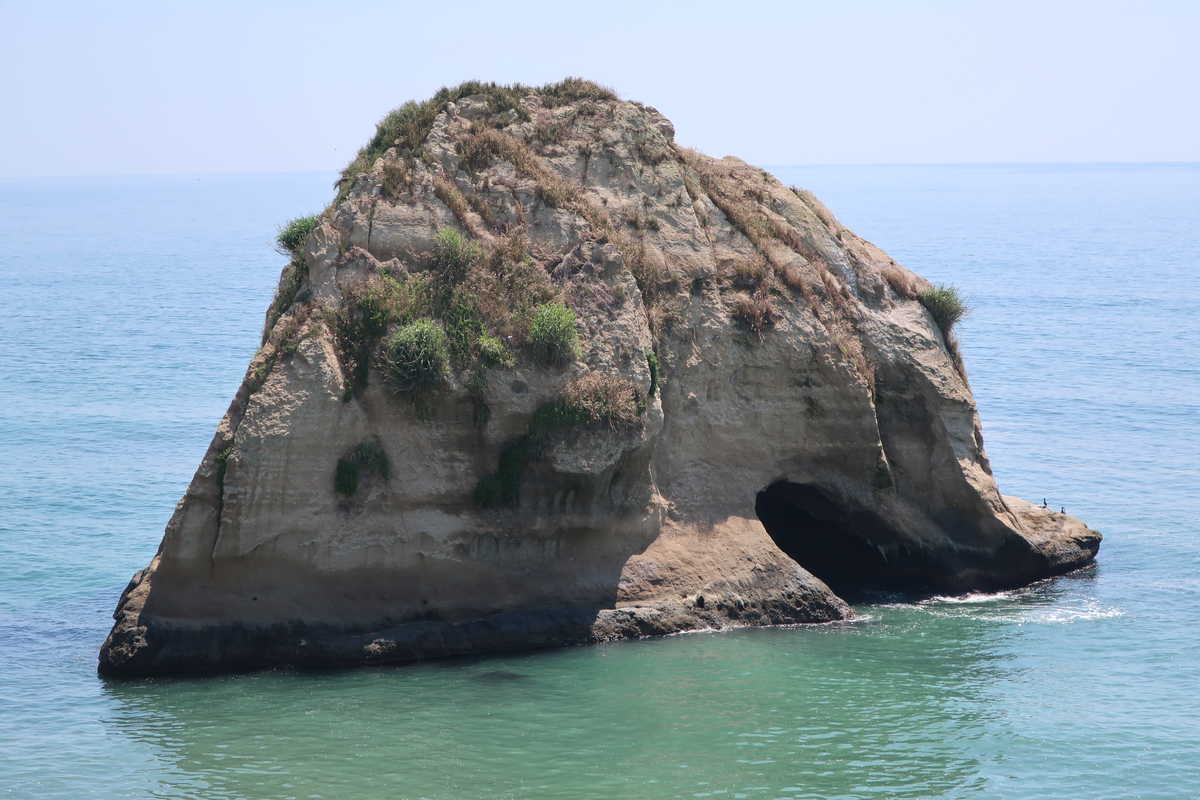 f:id:turumigawa915:20200607144126j:plain