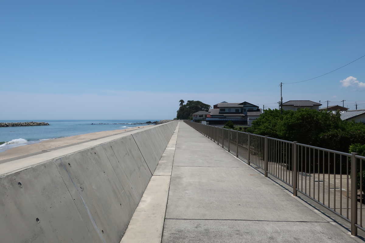 f:id:turumigawa915:20200607200757j:plain