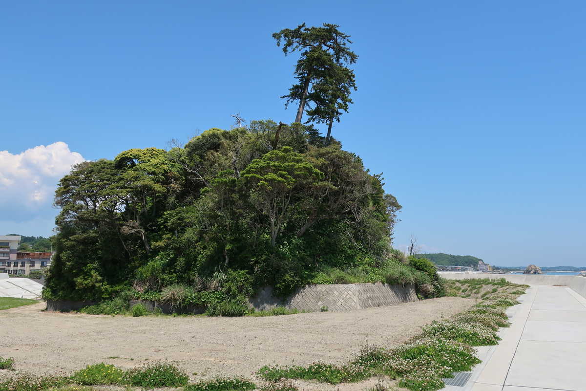 f:id:turumigawa915:20200607201033j:plain