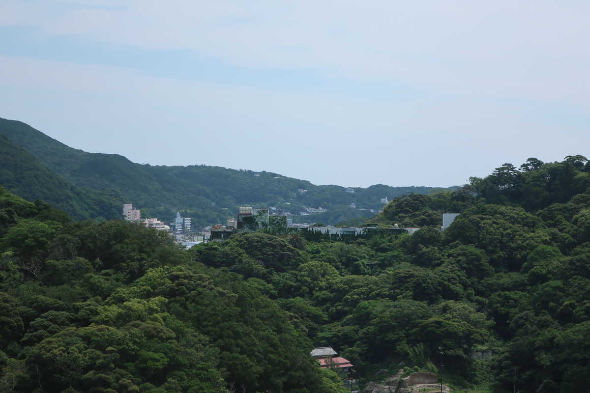f:id:turumigawa915:20200712185455j:plain
