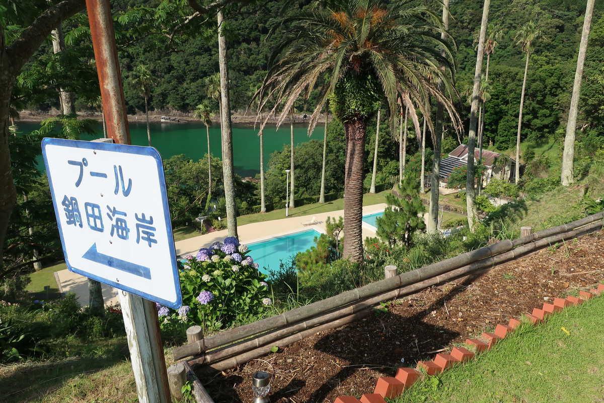 f:id:turumigawa915:20200714220347j:plain