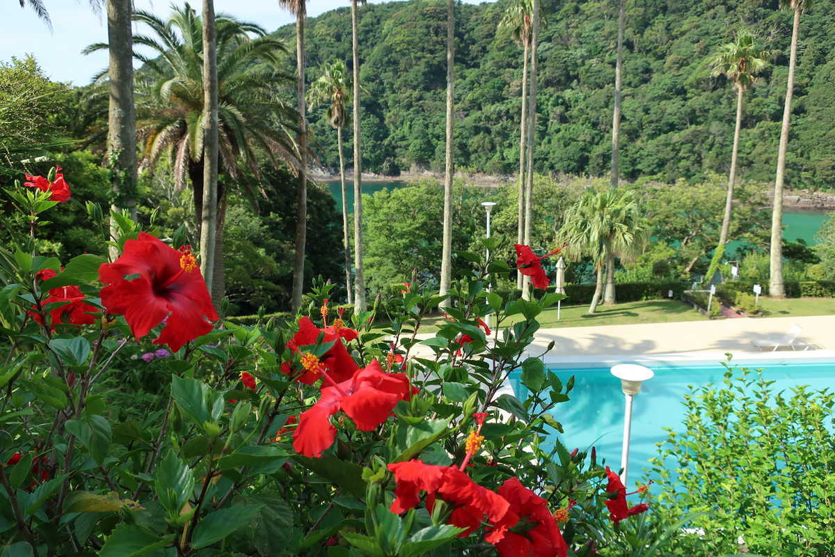 f:id:turumigawa915:20200714221200j:plain